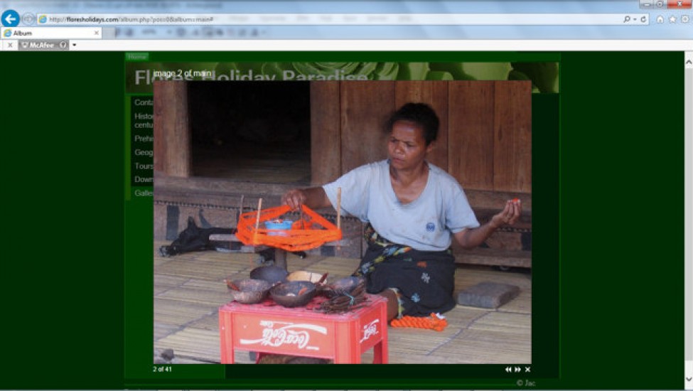 PHP, Javascript, CSS, MySQL and HTML
www.floresholidays.com